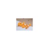 Kit de 200 clous podotactiles
