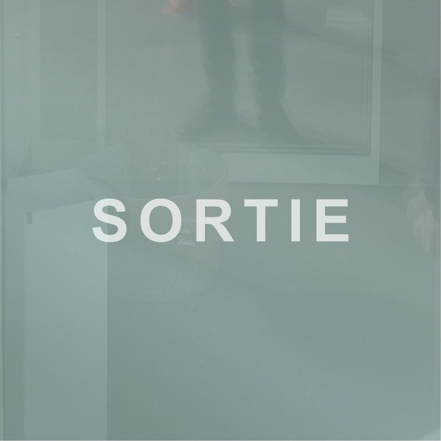 Sortie en vinyle