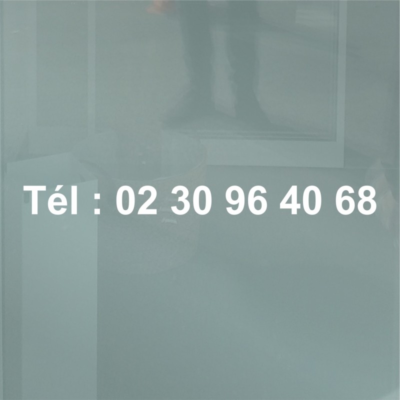 Numéro de téléphone en vinyle