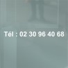 Numéro de téléphone en vinyle