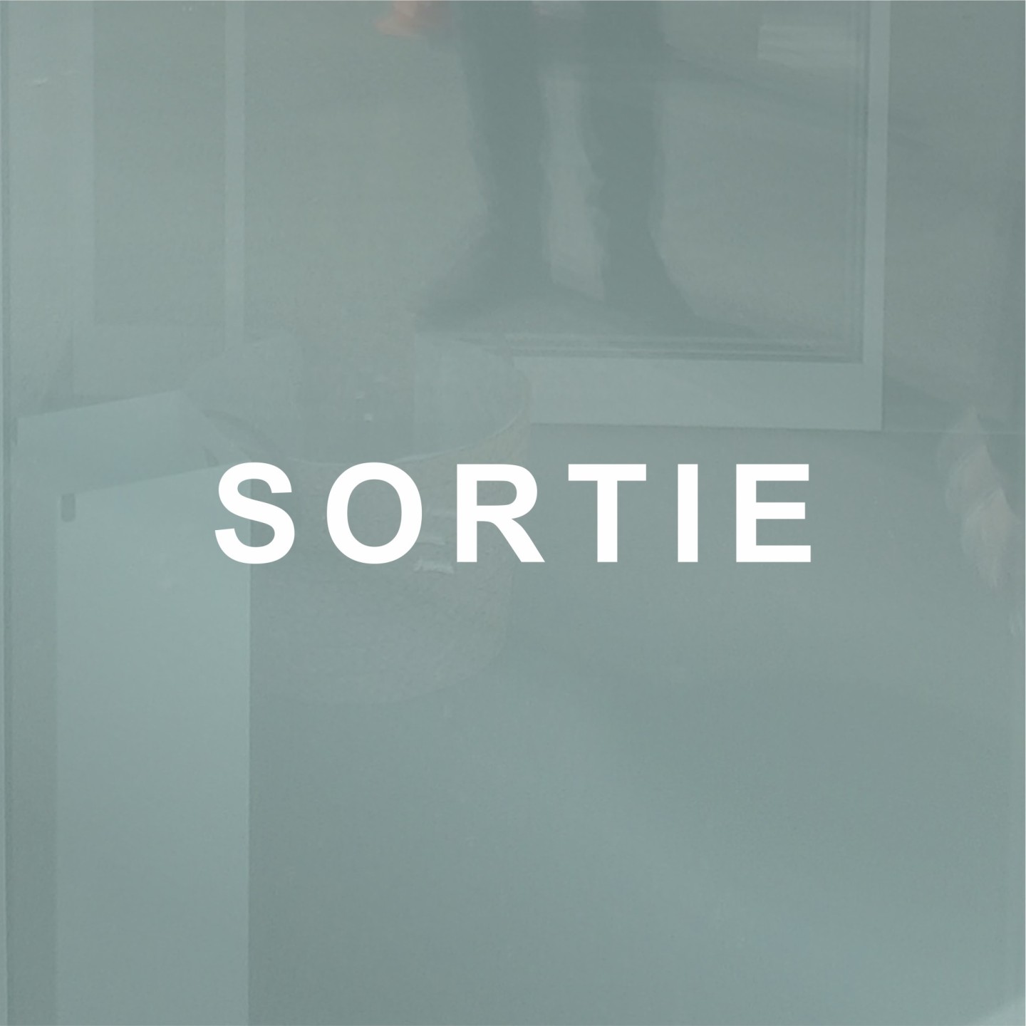 Sortie en vinyle
