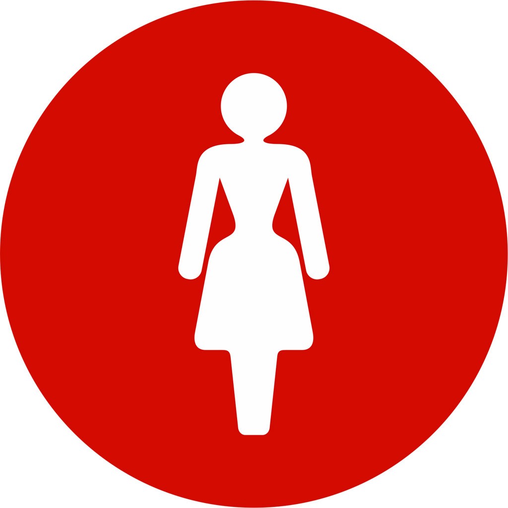 Plaque Signalétique Toilettes Femmes Plaque De Porte Adhésive PVC 5 x 15 cm Or brillant 21 Couleurs Disponibles 