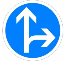 Panneau routier "Directions obligatoires à la prochaine intersection - Tout droit ou à droite" B21d1