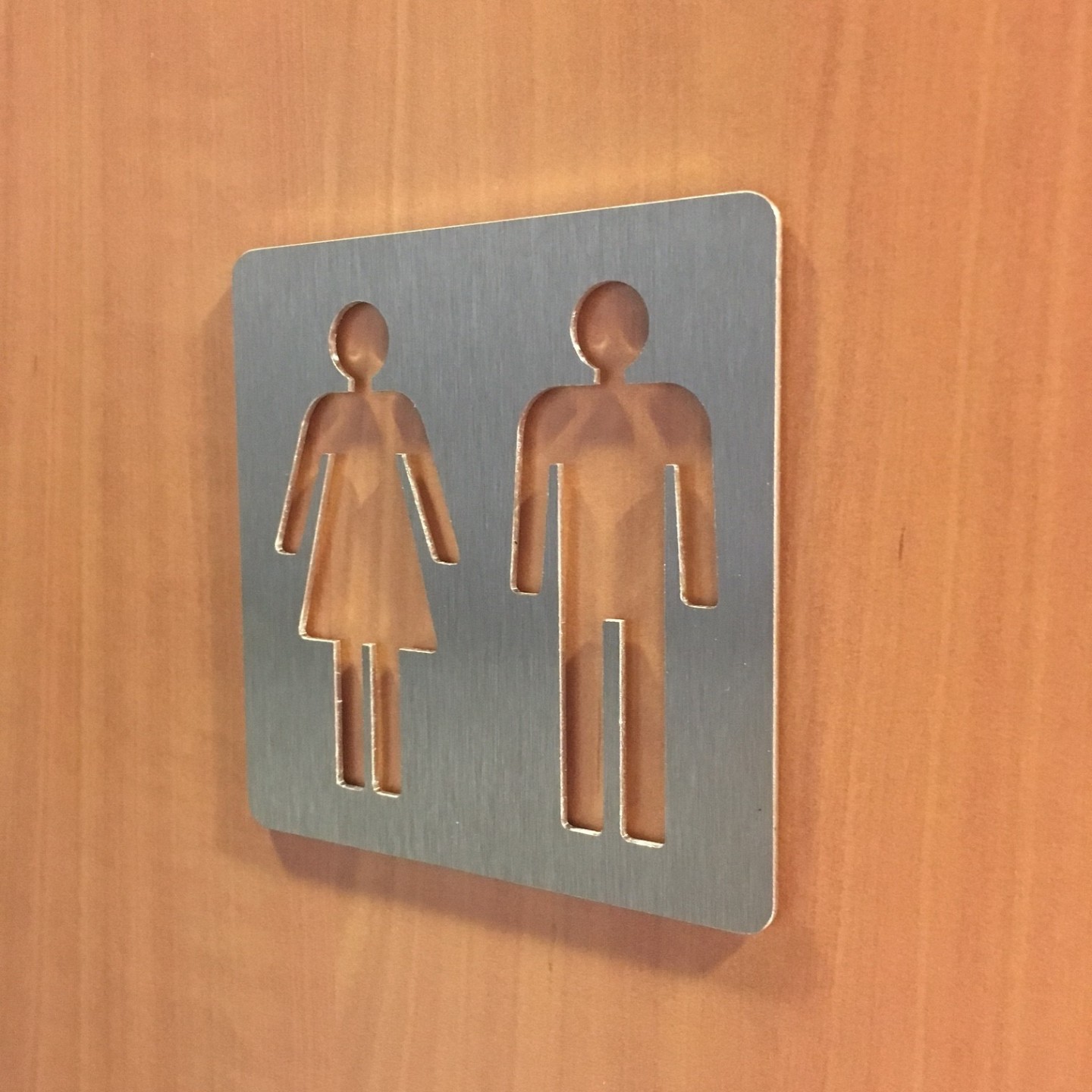 Plaque porte picto alu brossé pochoir Toilettes femme
