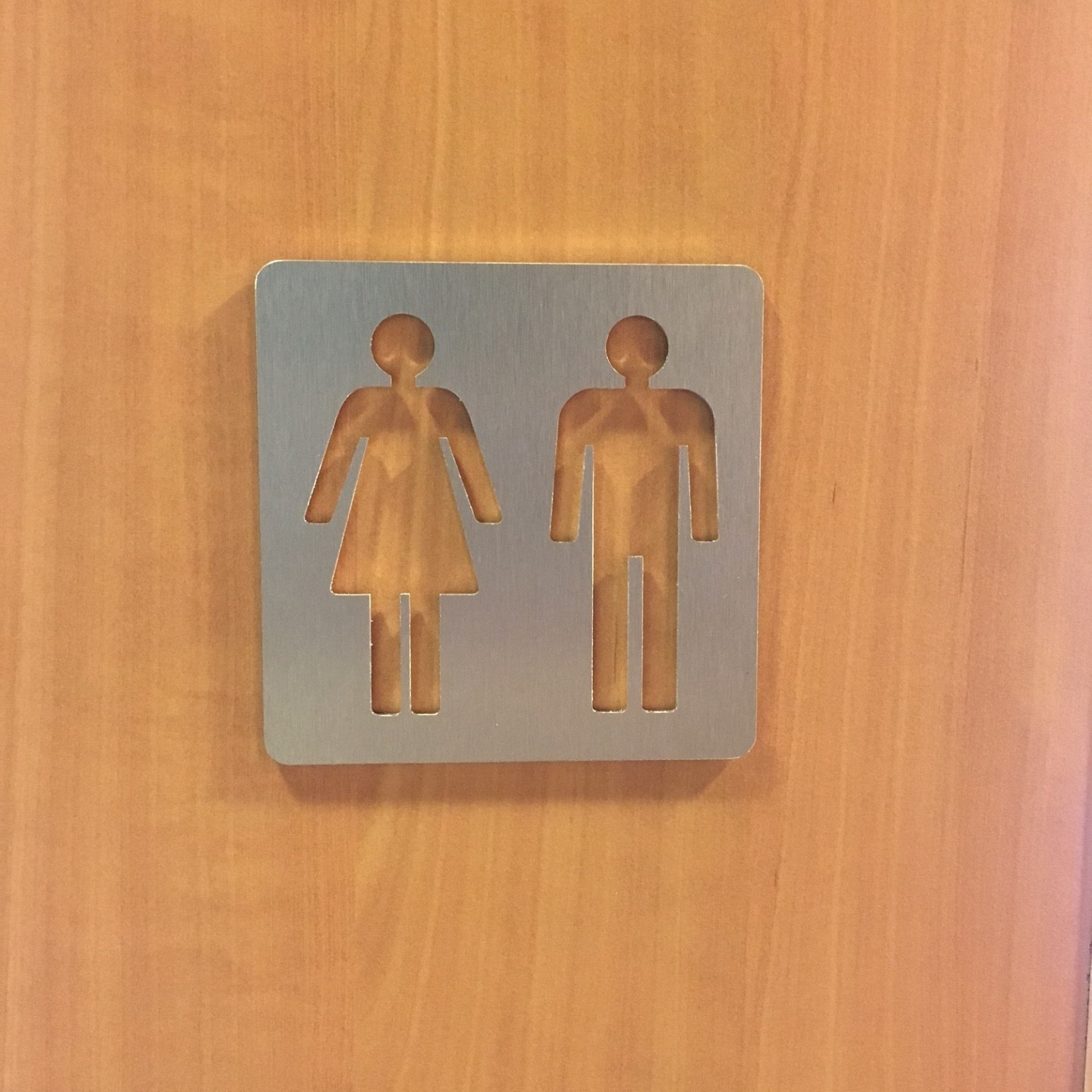 Plaque porte picto alu brossé pochoir Toilettes femme
