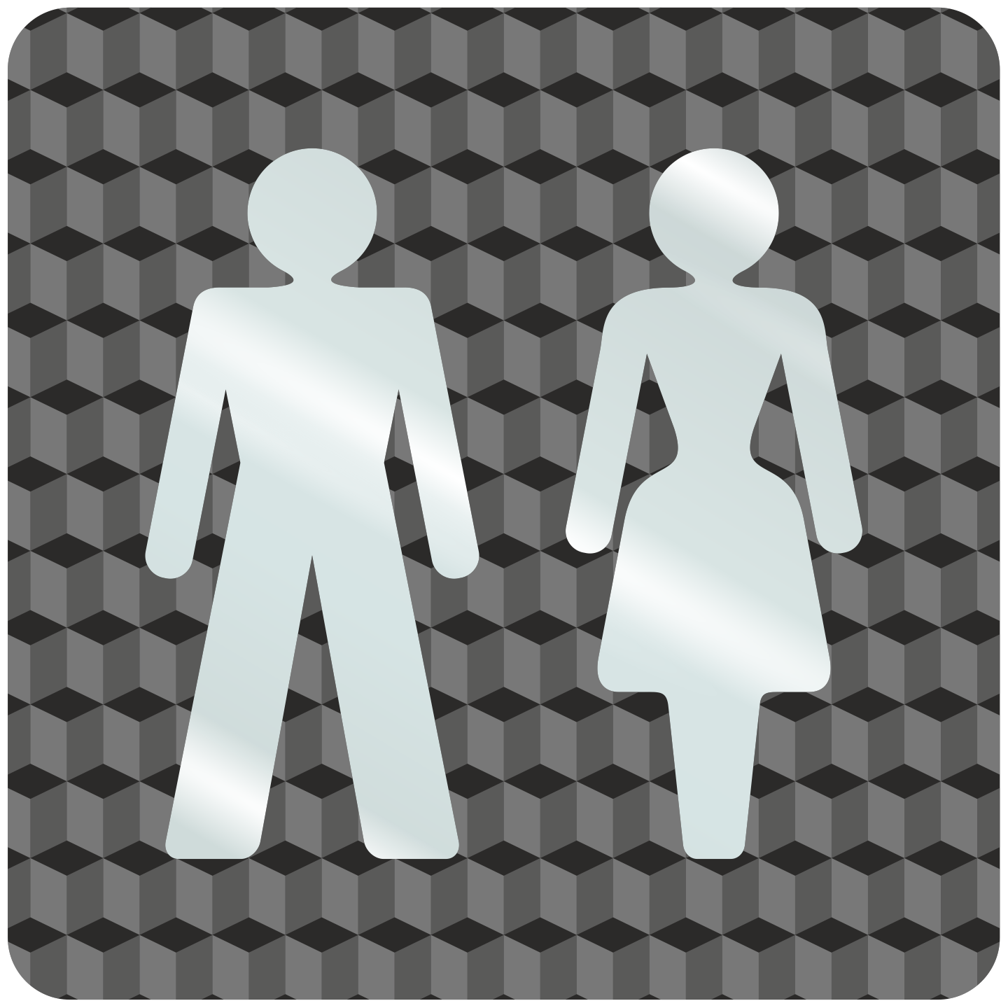 Plaque porte plexi ,effet 3D " Toilettes mixtes"