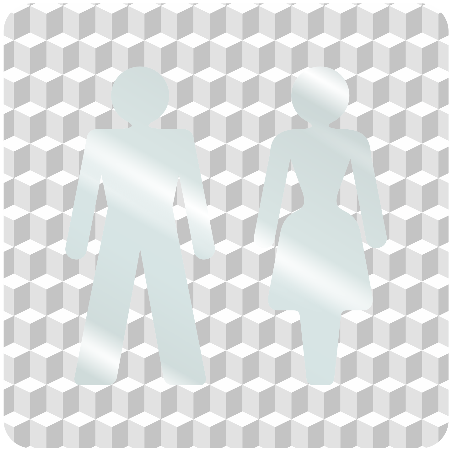 Plaque porte plexi ,effet 3D " Toilettes mixtes"
