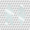 Plaque porte plexi ,effet 3D " Toilettes mixtes"