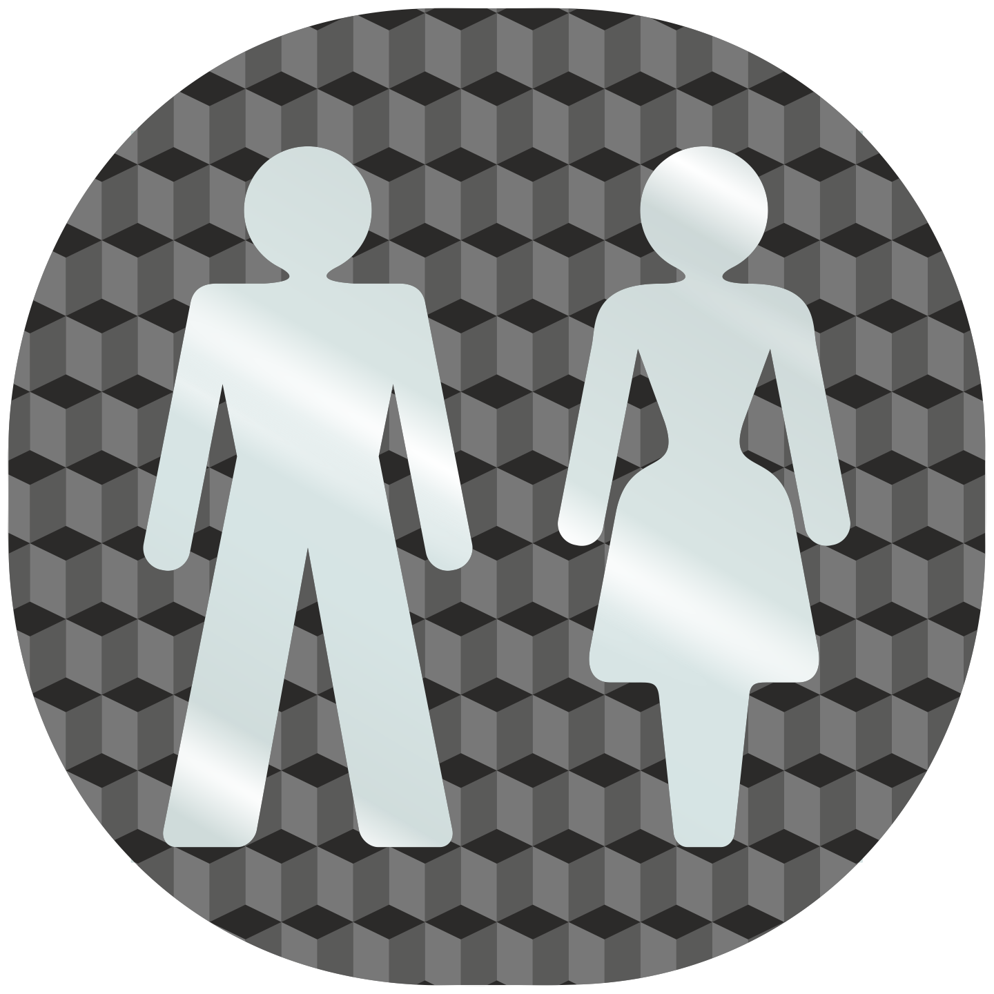 Plaque porte plexi ,effet 3D " Toilettes mixtes"