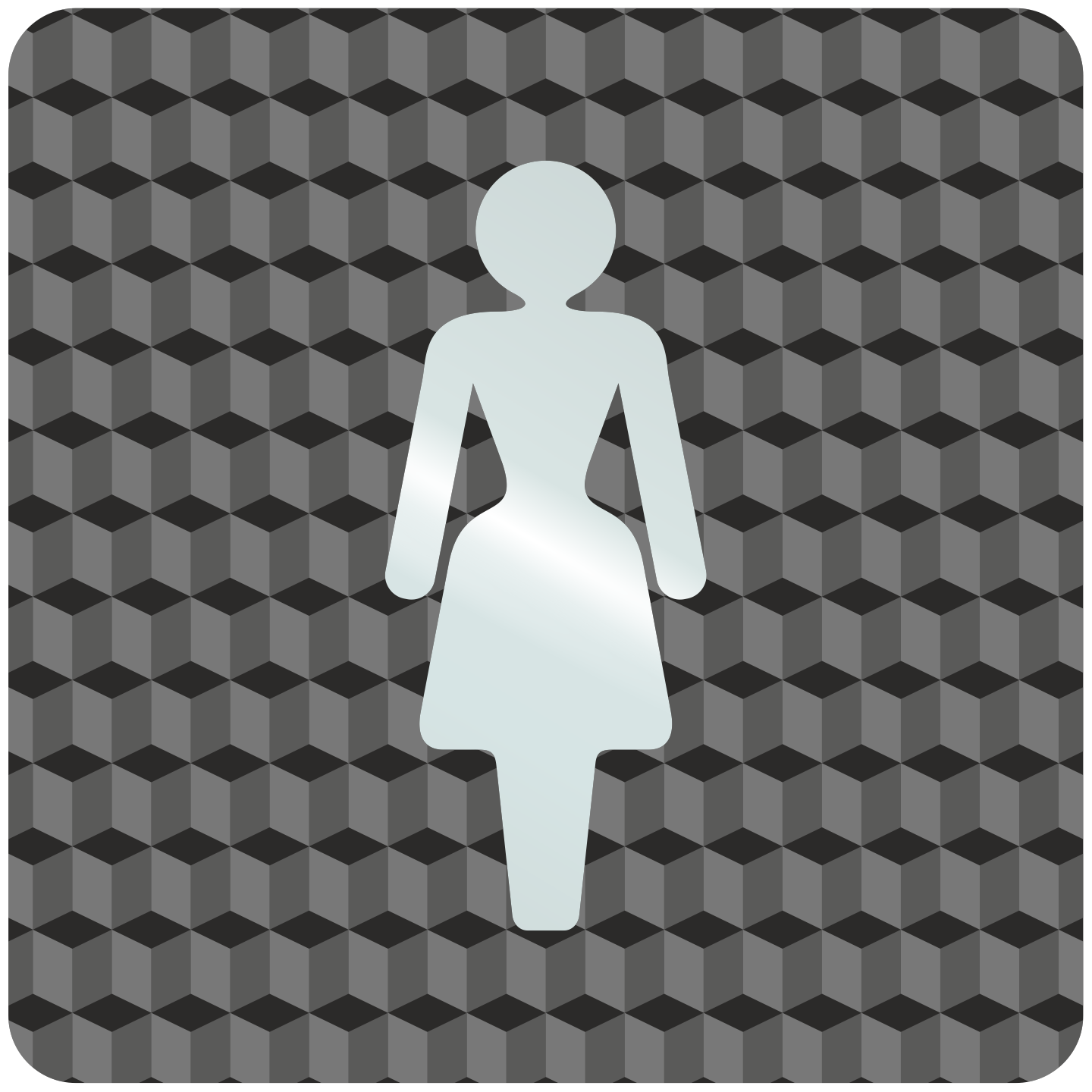 Plaque porte plexi ,effet 3D " Toilettes femmes"