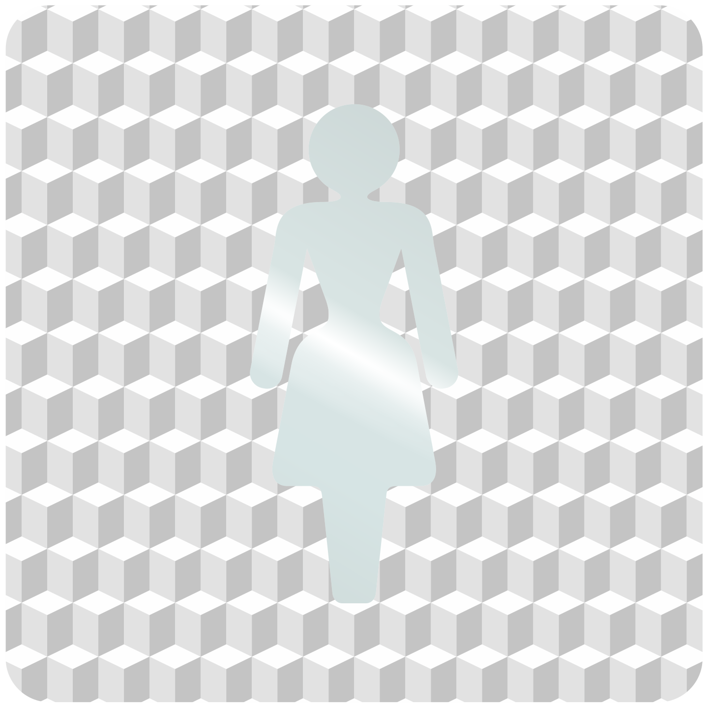 Plaque porte plexi ,effet 3D " Toilettes femmes"