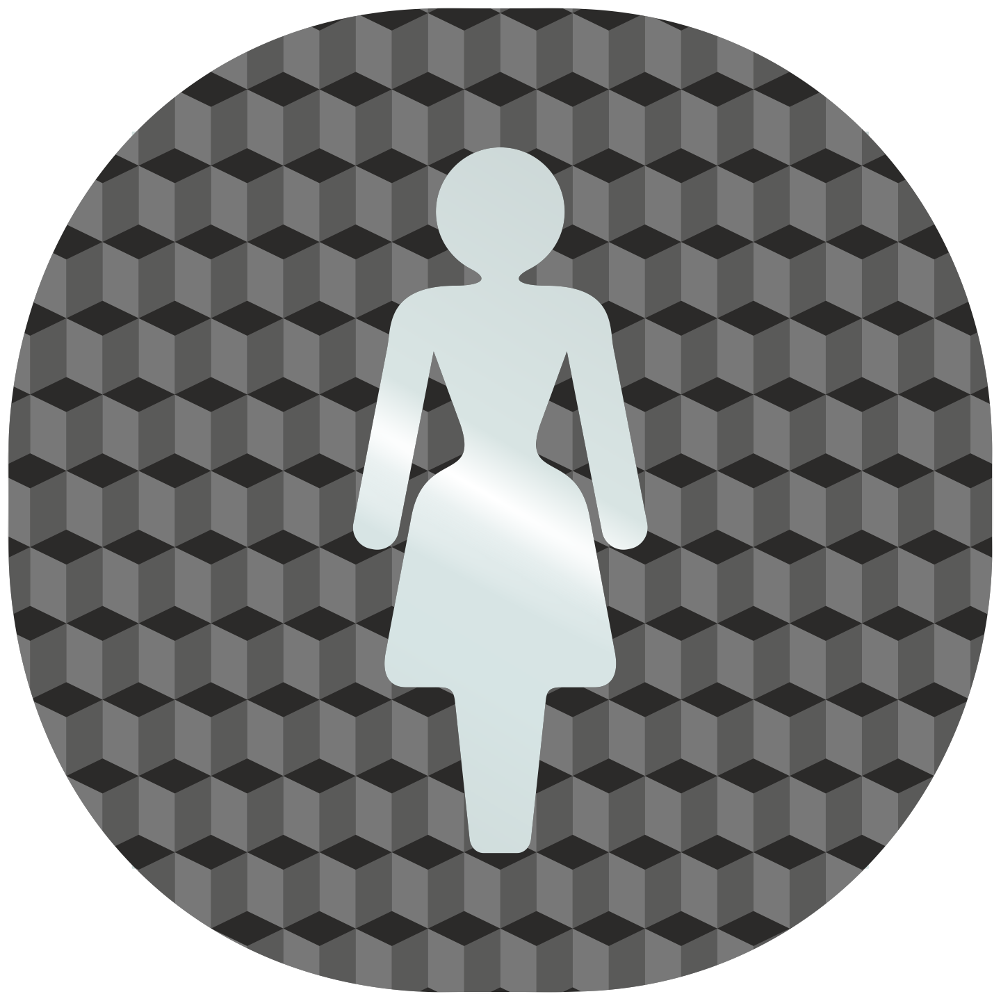Plaque porte plexi ,effet 3D " Toilettes femmes"