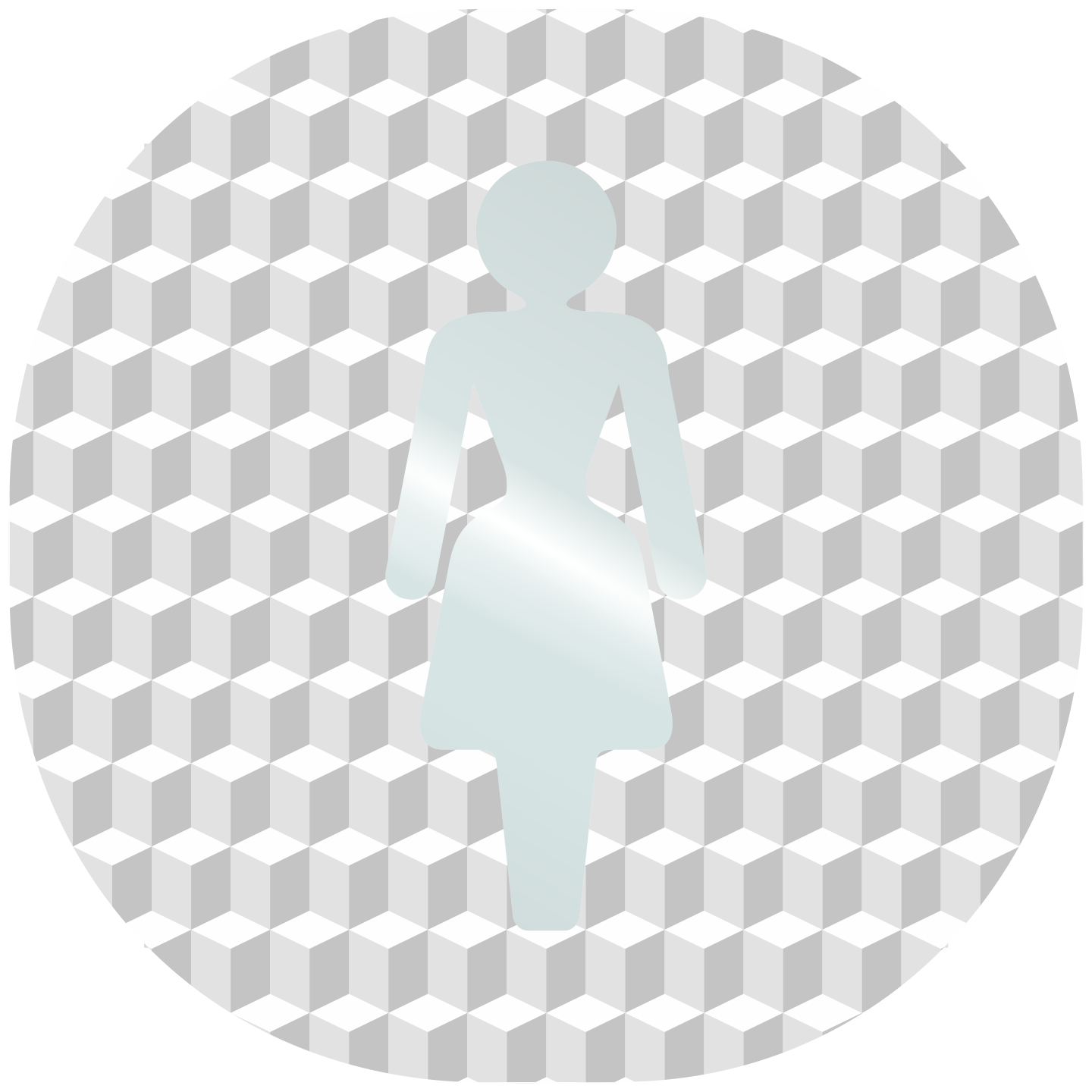 Plaque porte plexi ,effet 3D " Toilettes femmes"