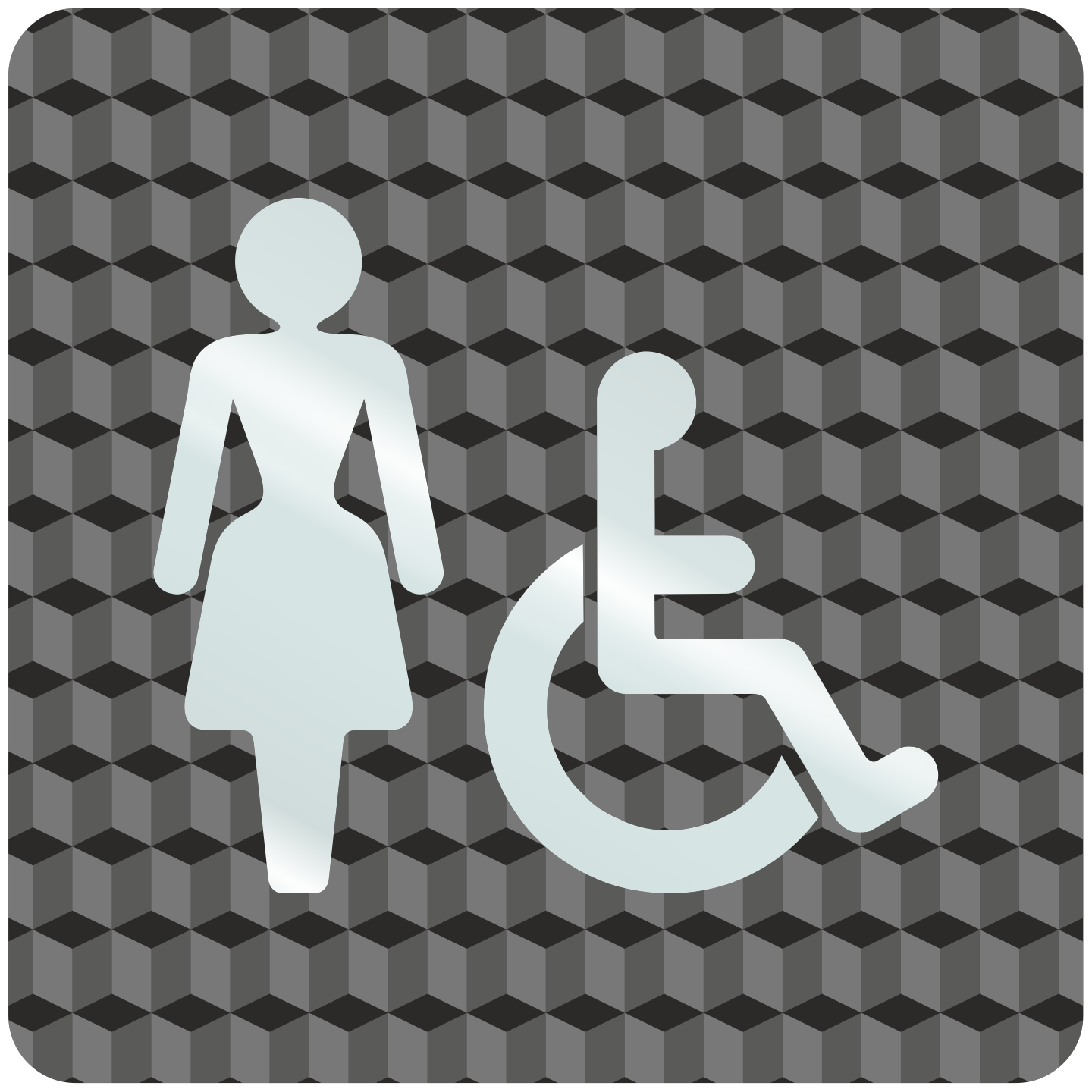 Plaque porte plexi ,effet 3D " Toilettes femmes, handicapés"