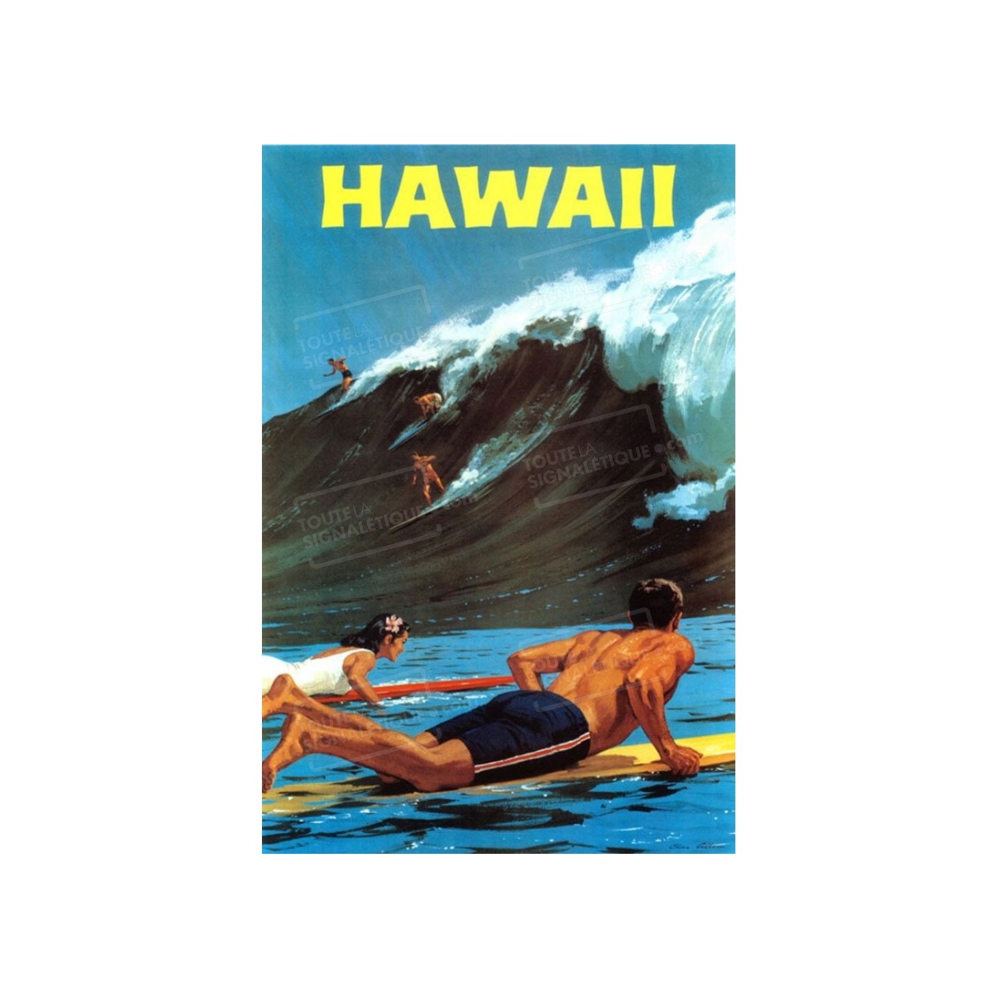 Plaque publicité  " Hawaii  "