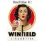Publicité Vintage "Winfield you'll like it" sur plaque alu