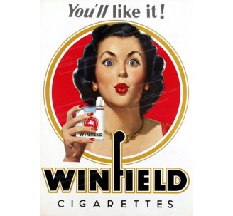 Publicité Vintage "Winfield you'll like it" sur plaque alu