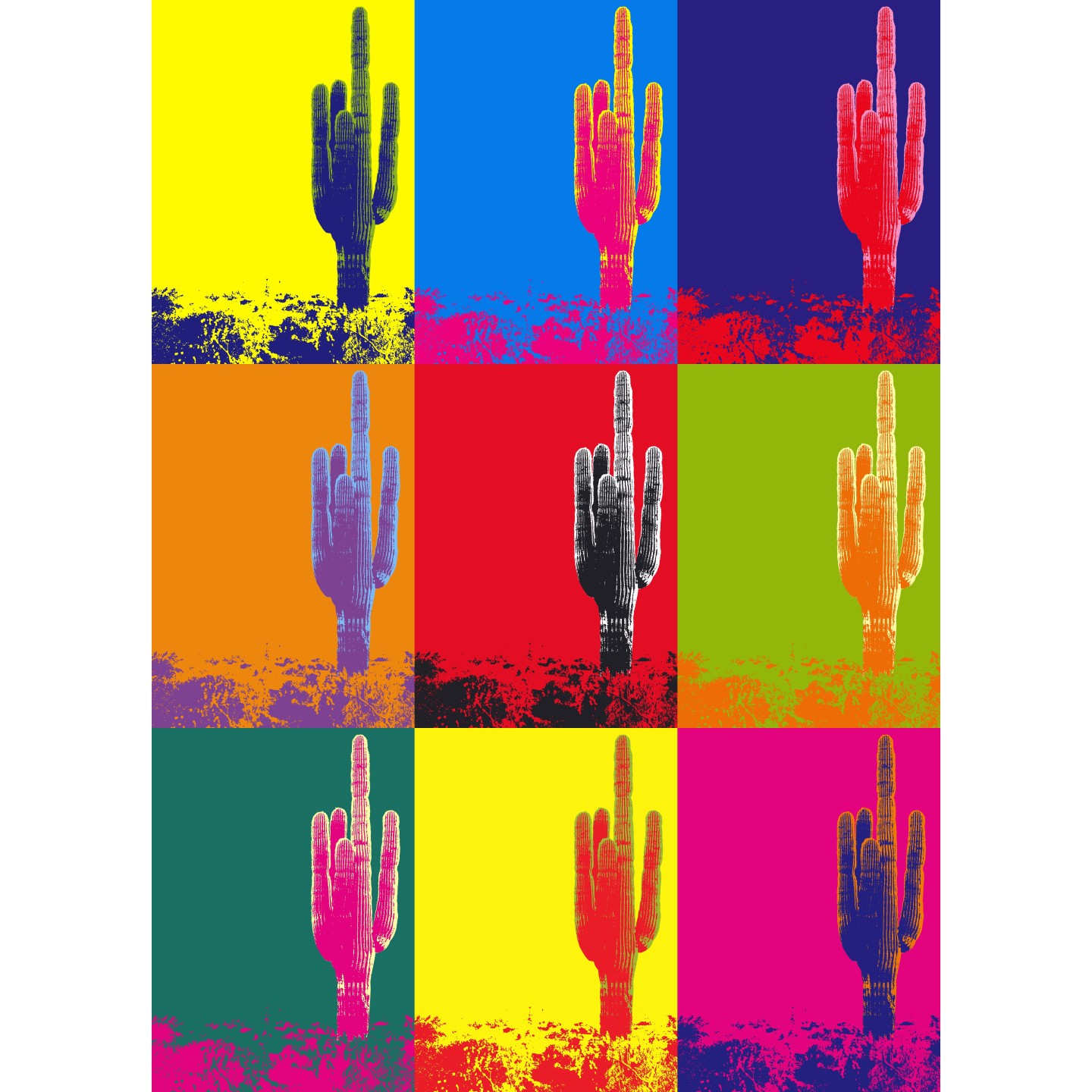 Cactus avec filtre Andy Warhol