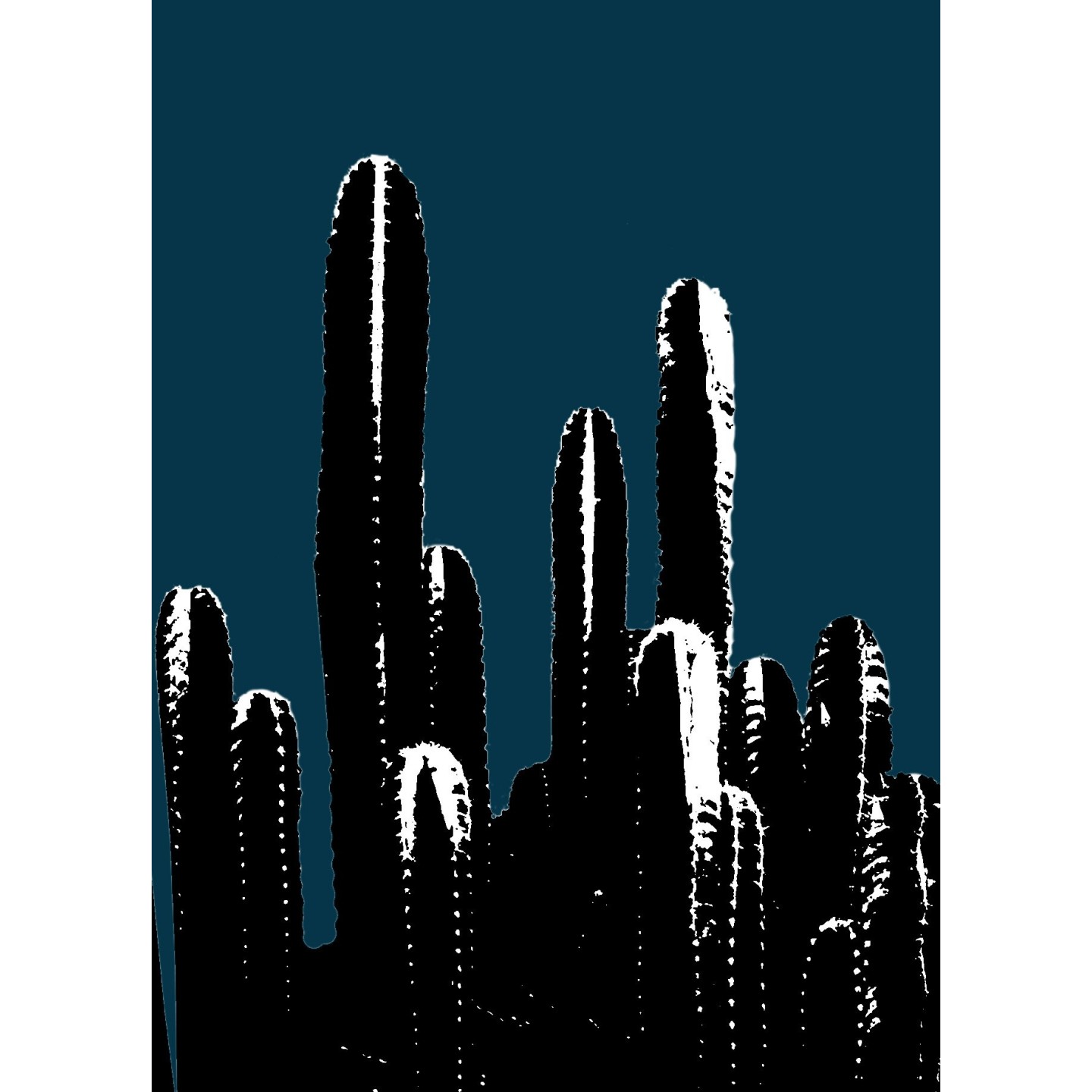 Buisson de cactus avec filtre Andy Warhol