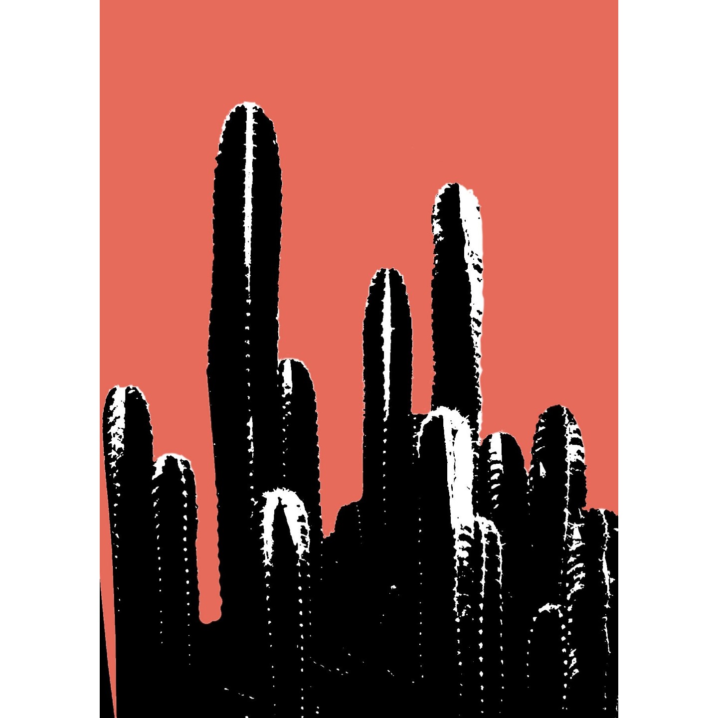 Buisson de cactus avec filtre Andy Warhol
