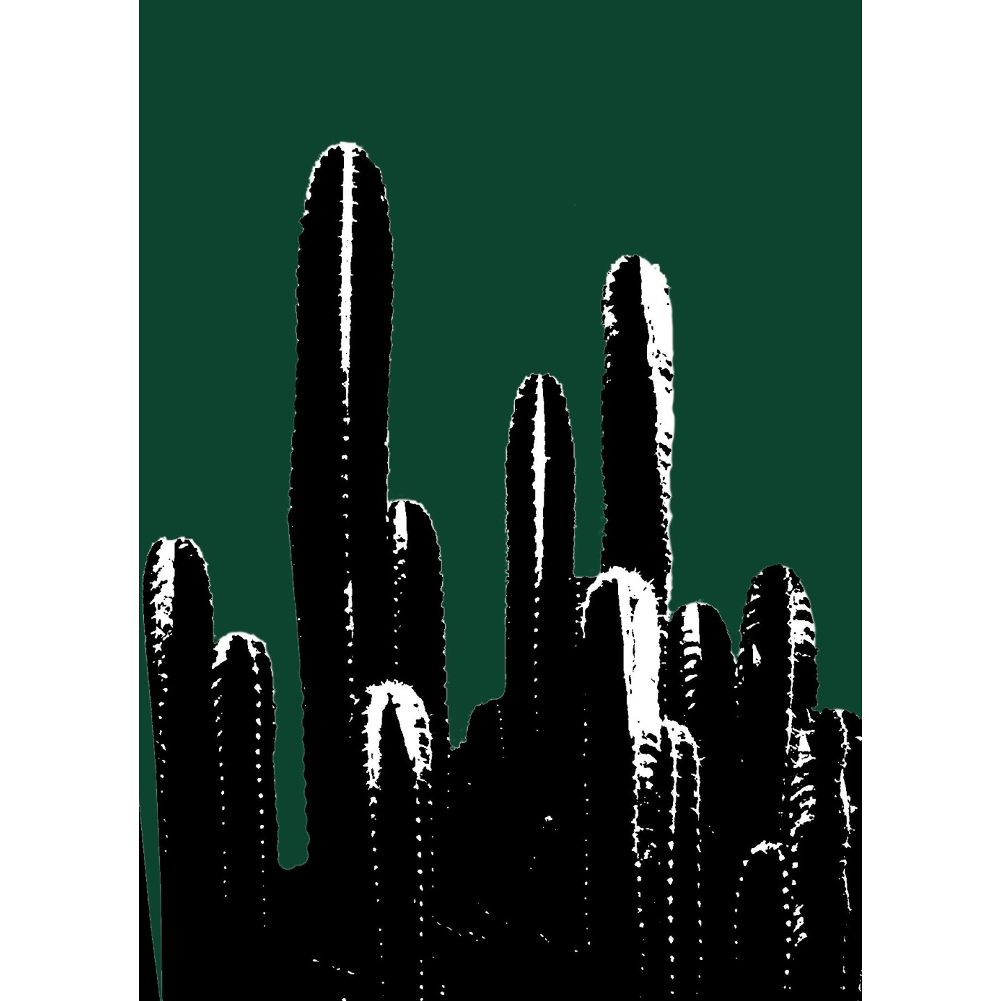 Buisson de cactus avec filtre Andy Warhol