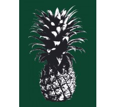 Ananas avec filtre Andy Warhol