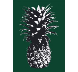 Ananas avec filtre Andy Warhol