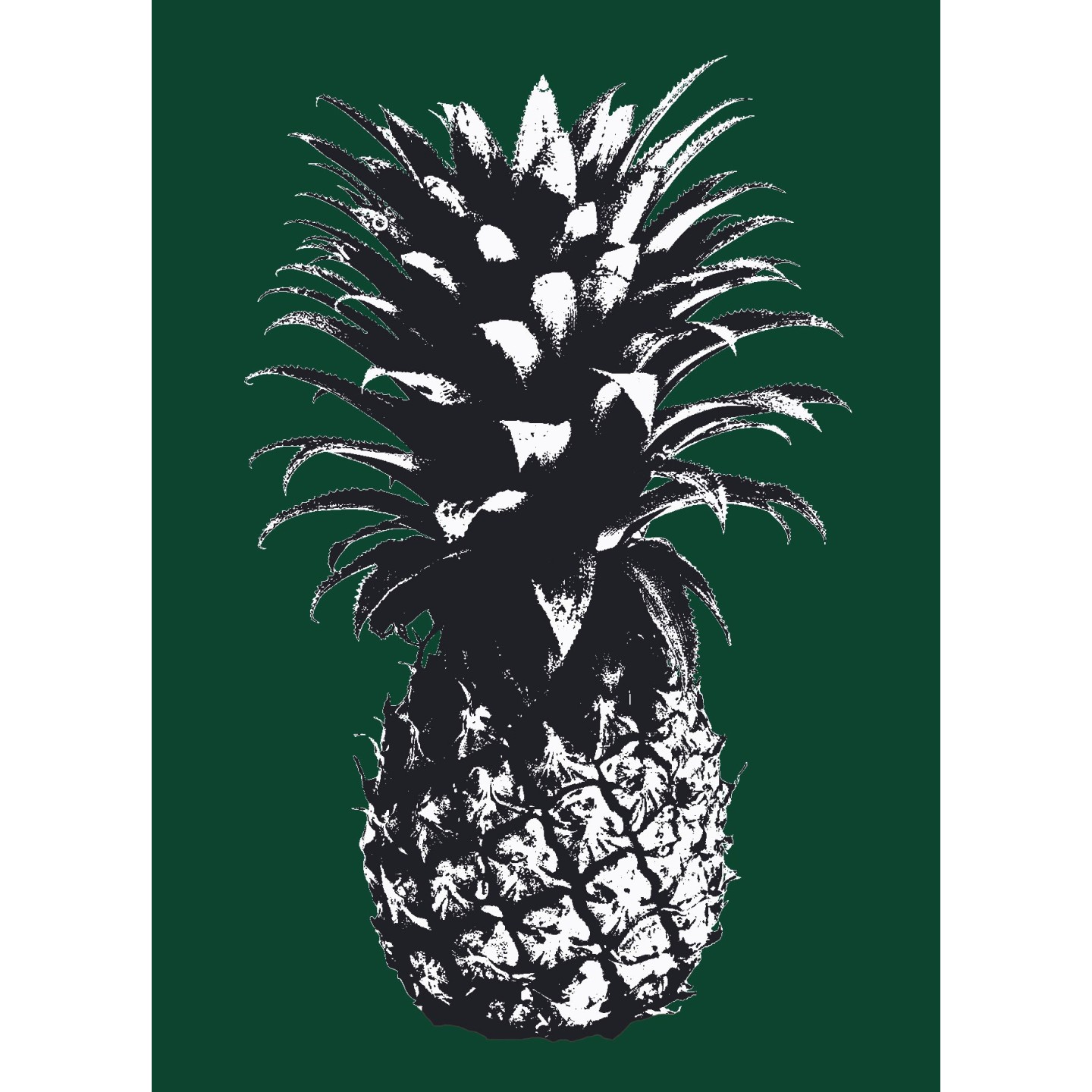Ananas avec filtre Andy Warhol