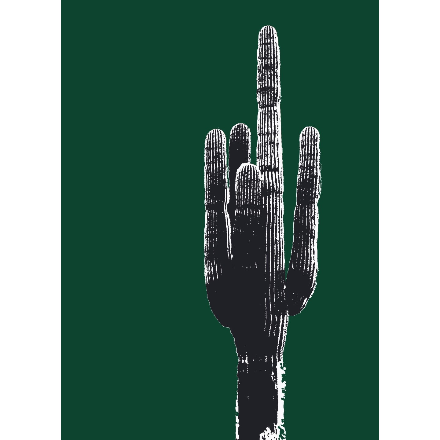 Grand cactus avec filtre Andy Warhol