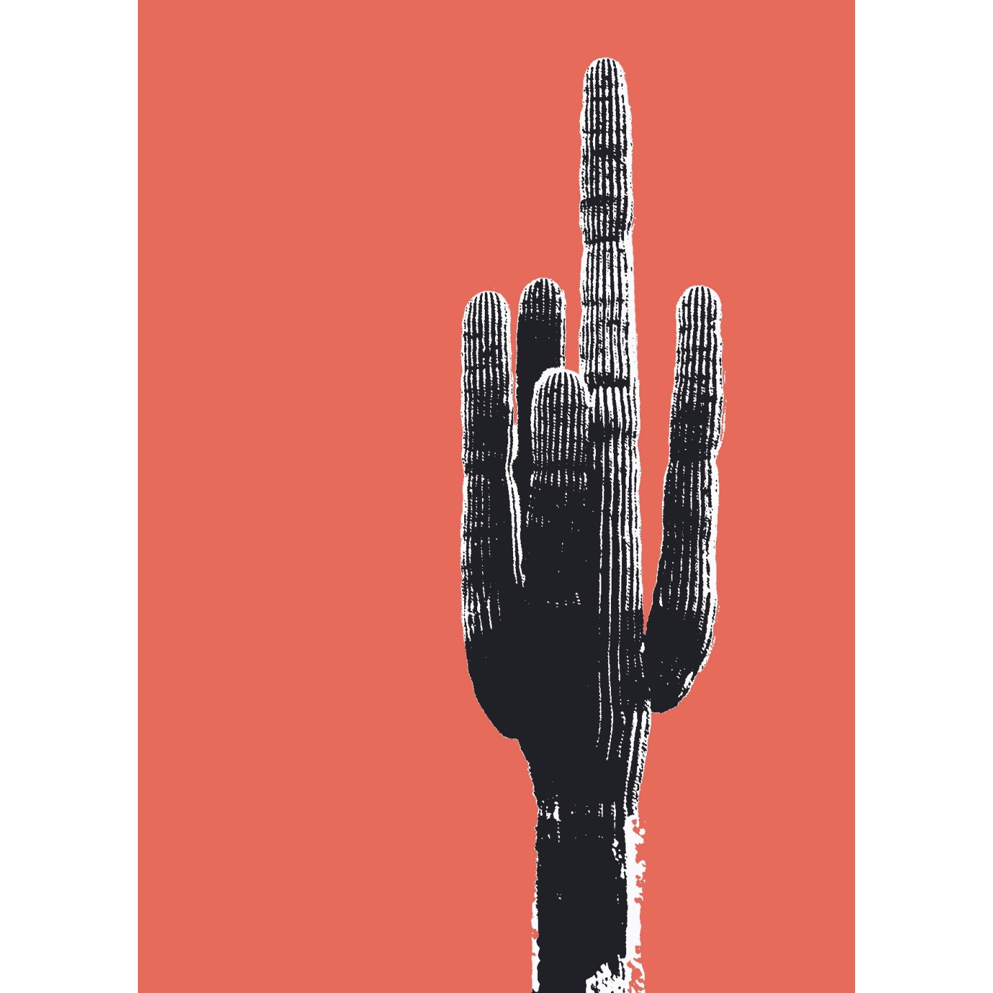 Grand cactus avec filtre Andy Warhol