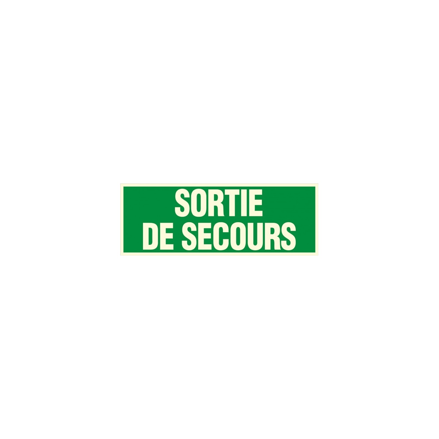 Panneau Sortie de secours en PVC photoluminescent rigide