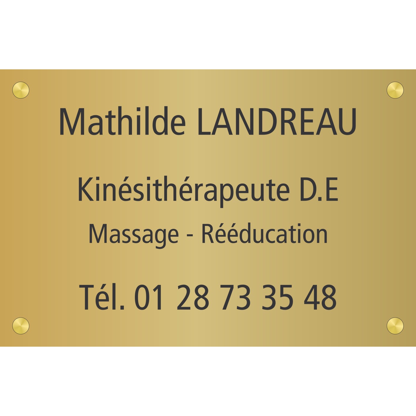 Plaque professionnelle Masseur kinésithérapeute