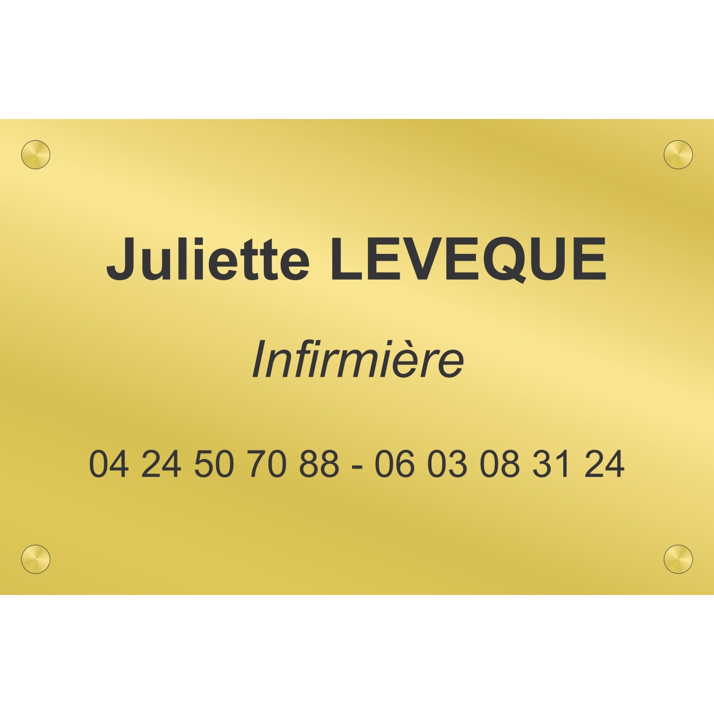 Plaque professionnelle Infirmier(e)
