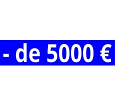 Cache plaque pour voiture " - 5000€" bleu