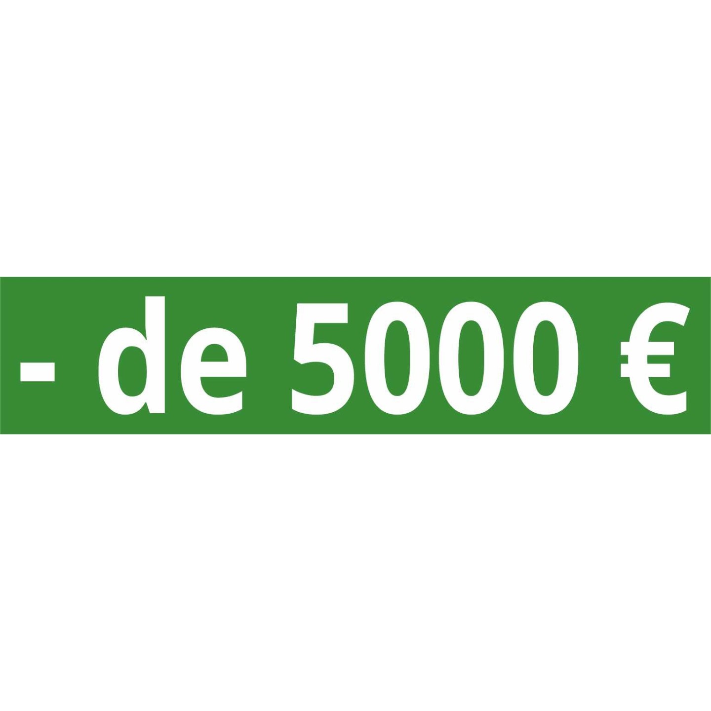 Cache plaque pour voiture " - 5000€" vert
