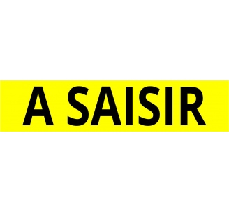 Cache plaque pour voiture " A saisir "