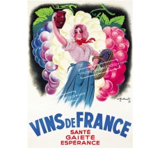 Publicité Vintage "Vins de France" sur plaque alu