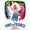 Publicité Vintage  "Vins de France" sur plaque alu