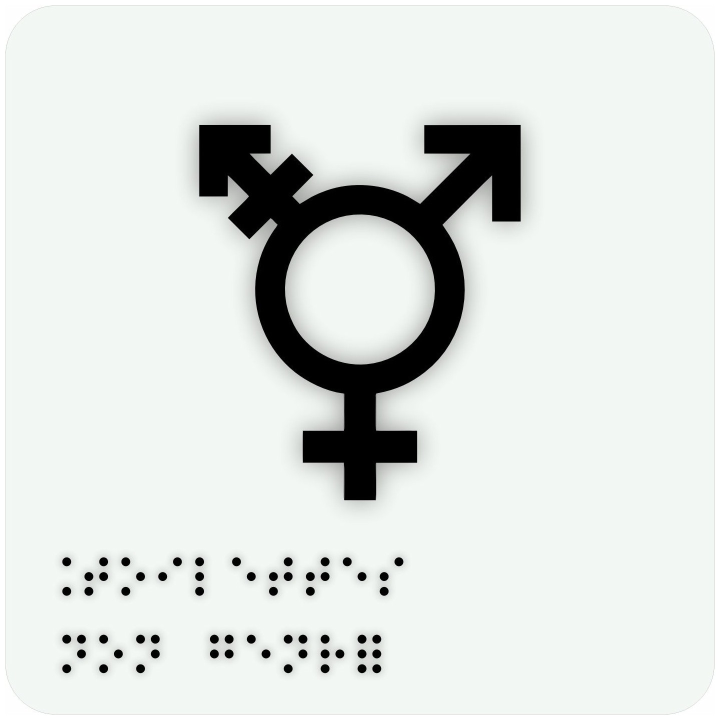 Pictogramme avec braille et relief  "Symbole Toilette non genré"